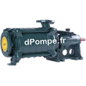 Pompe de Surface Caprari HMU50-1/4 de 14,4 à 36 m3/h entre 65,9 et 40,6 m HMT à 1750 tr/mn - dPompe.fr