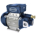Pompe pour Huile Épaisse Renson VISCO70 Mono 230 V 0,75 kW - dPompe.fr